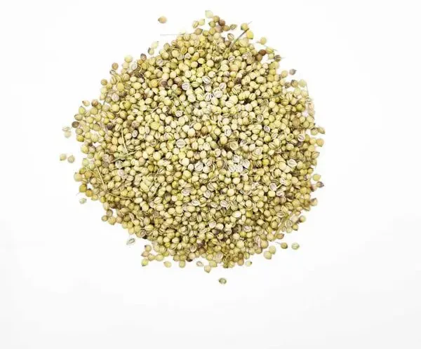 تخم گشنیز درجه 1 1 تخم گیشنیز توپی