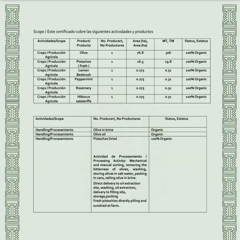 روغن زیتون فرابکر فدک 1 لیتری 11 روغن زیتون فرابکر فدک 1 لیتری - Image 4