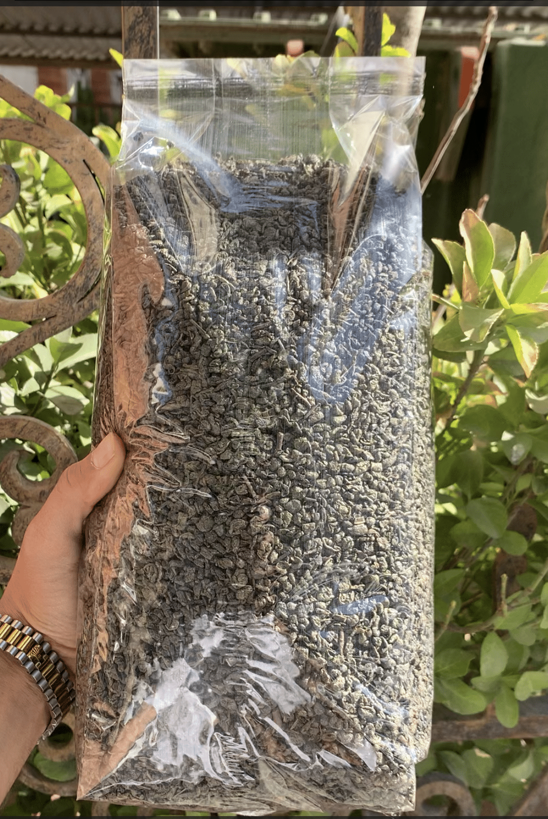 چای سبز خارجی ساچمه ای 1 کیلویی 1 دمنوش مناسب لاغری