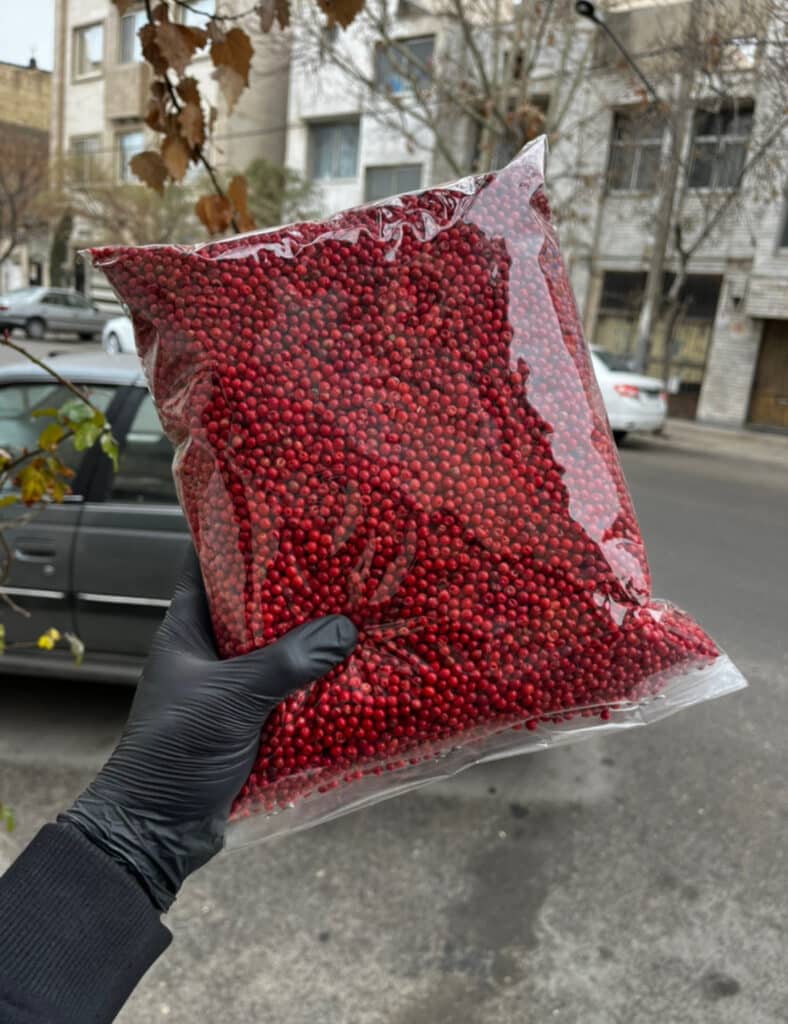فلفل دان صورتی - 1 کیلویی 2 IMG 9469 فلفل دان صورتی - 1 کیلویی