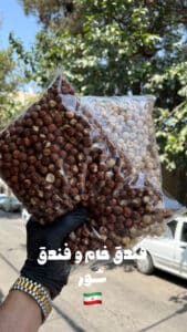 خواص فندق؛ آشنایی کامل با 10 فواید، ارزش غذایی و بهترین روش مصرف فندق 3 خواص فندق