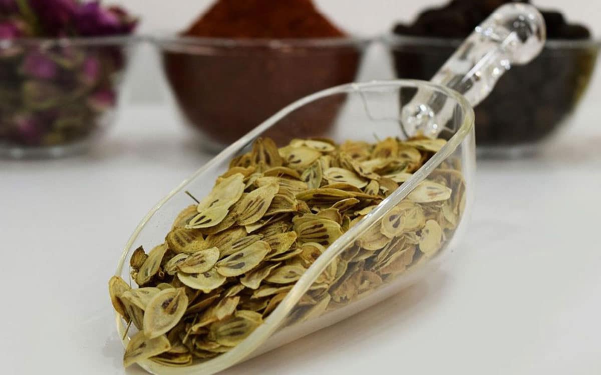 گلپر سفید سورت 1 کیلویی 1 گلپر ناساب