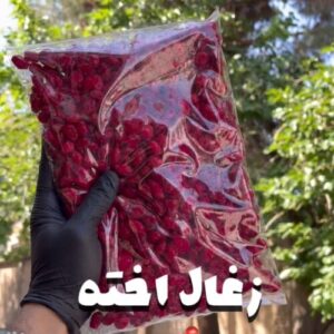 زغال اخته 1 کیلویی 2 زغال اخته 1 کیلویی
