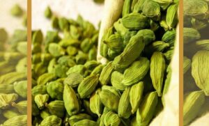 چه عواملی بر قیمت هل هندی در ایران تاثیر میگذارد؟