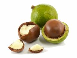 مقایسه فندق ماکادمیا با بادام و پسته 1