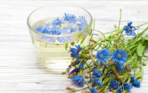 شربت کاسنی + 2 دهم زعفران هدیه 3 شربت کاسنی+زعفران هدیه