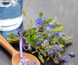 شربت کاسنی + 2 دهم زعفران هدیه 4 شربت کاسنی+زعفران هدیه