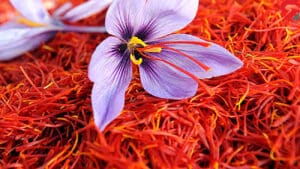 راهنمای خرید زعفران برای عمان به همراه قیمت‌های سال 1404