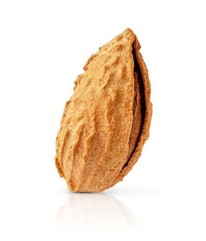nkk9dlpgqoh3 مغز بادام درختی خام
