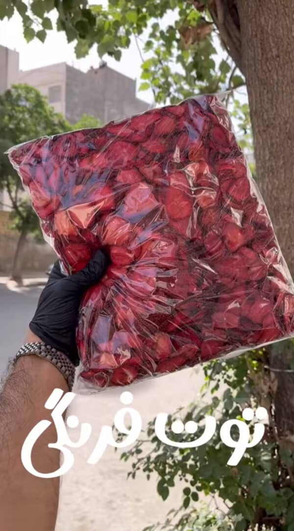 توت فرنگی