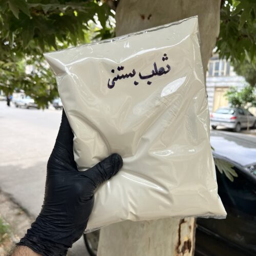 ثعلب بستنی 1 کیلویی