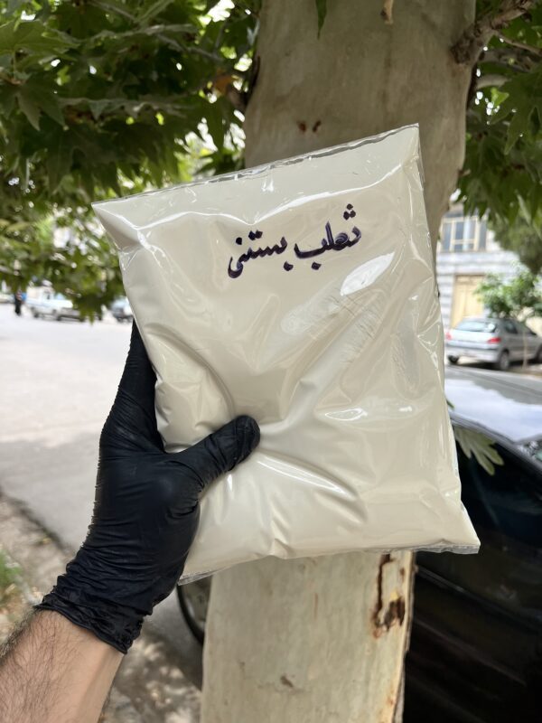 ثعلب بستنی 1 کیلویی