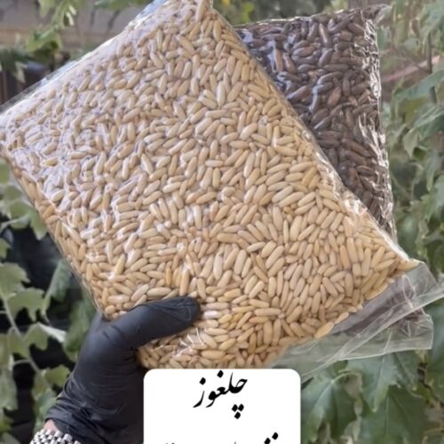 IMG 5536 مغز تخمه چلغوزه (صنوبر)