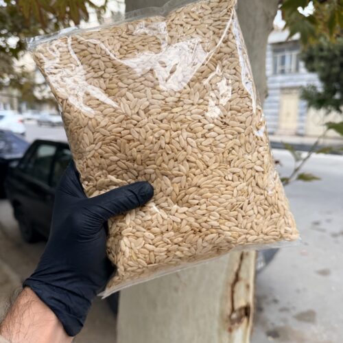 مغز تخم خربزه خام مشهدی 1 کیلویی