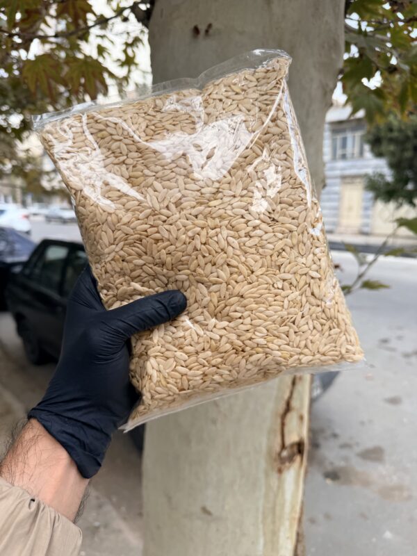 مغز تخم خربزه خام مشهدی 1 کیلویی