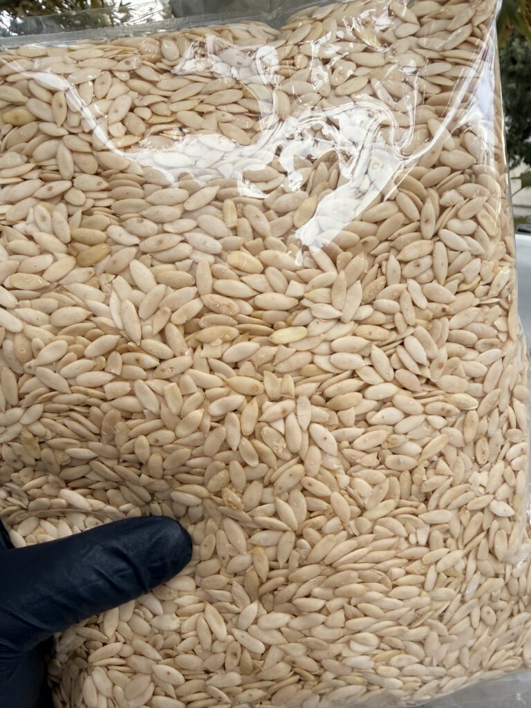 مغز تخم خربزه خام مشهدی 1 کیلویی